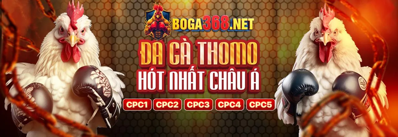 Tham gia bay365 nhà cái ngay hôm nay